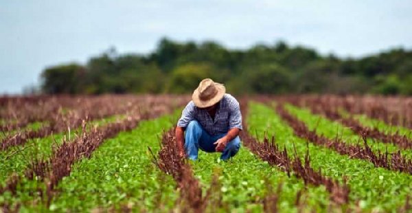 PREVIDÊNCIA: Relator antecipa que BPC, aposentadoria rural e capitalização estarão fora da reforma