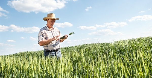 Produtor Rural: Obrigatoriedade do Livro Caixa tem novo Limite de receita bruta