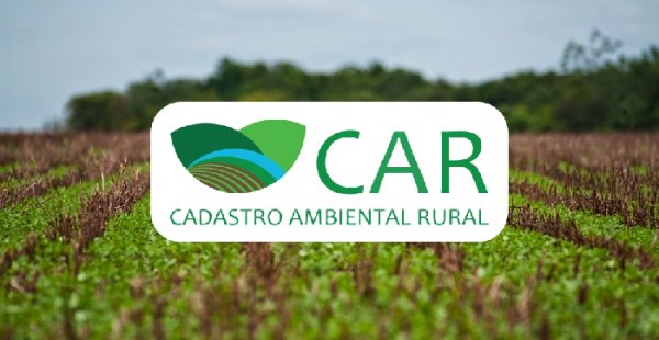 Lei torna inscrição no Cadastro Ambiental Rural obrigatória e permanente