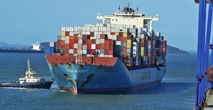 Imposto de importação: Camex operacionaliza normas para zerar tarifa contra risco de desabastecimento