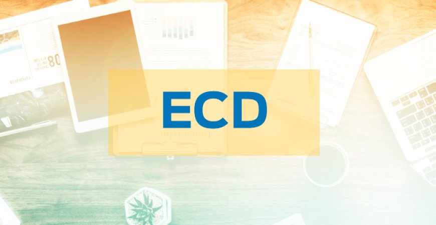 ECD: Receita disponibiliza nova versão do programa