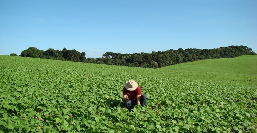 DIRT: Prazo para a entrega do exercício 2020 inicia em 17 de agosto