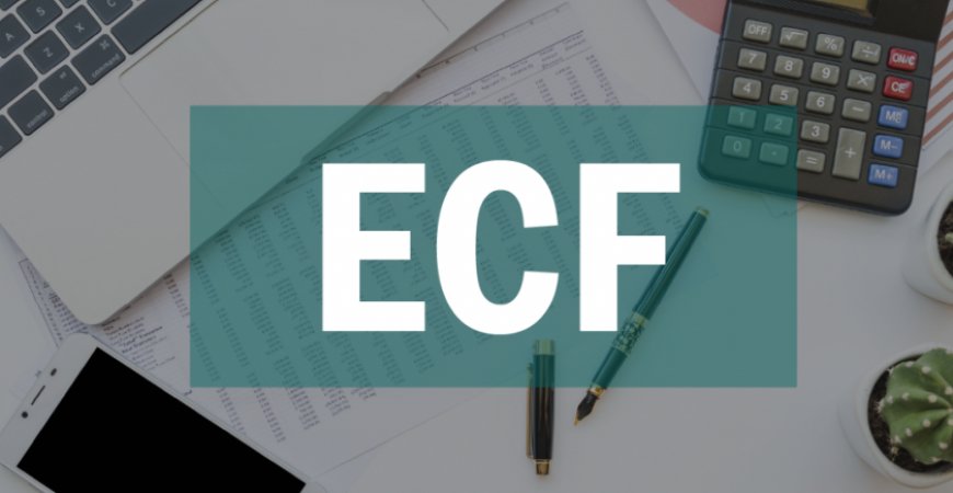 ECF: Receita divulga nova versão do programa