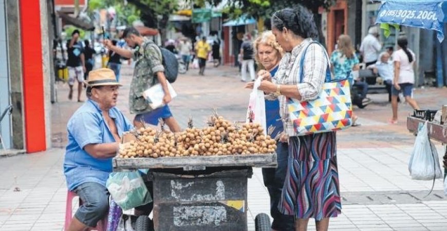 IBGE: Empregadores e trabalhadores por conta própria cresceram em 2019