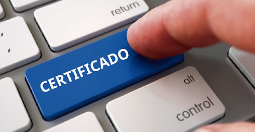 Certificado digital: Cartilha orienta empreendedores na digitalização de negócios