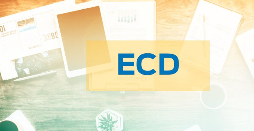 ECD: Modificações de regra e da chave do Plano de Contas Referencial
