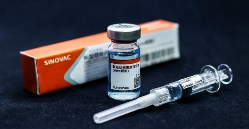Covid: empresários são proibidos pelo Governo de comprar vacina para funcionários 