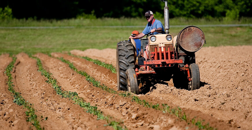 Crédito Rural: BC anuncia ferramenta semelhante a Open Finance para produtor