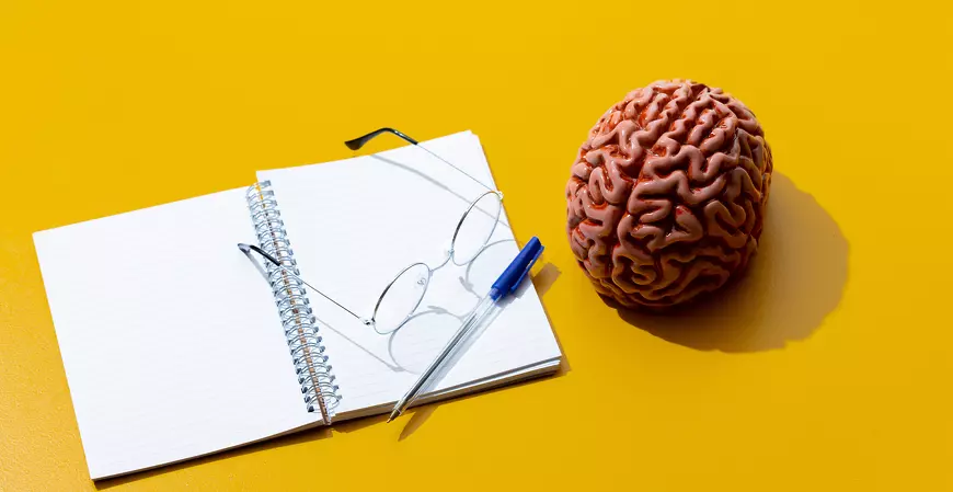 Neurociência na carreira: como o cérebro impacta no desenvolvimento profissional?