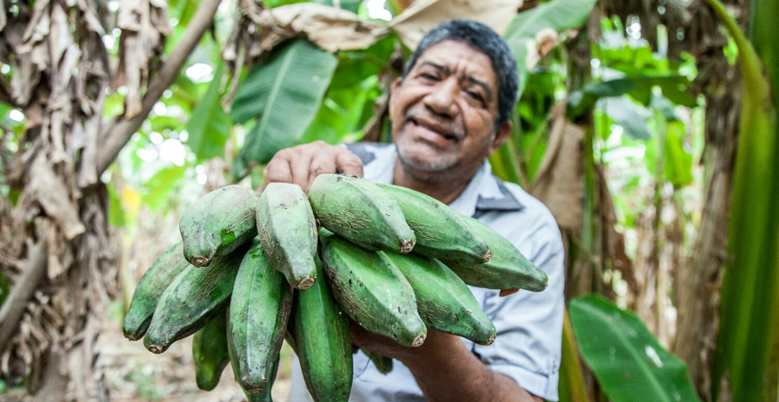 Produtor rural será obrigado a emitir NF-e e NFC-e a partir de 3 de fevereiro