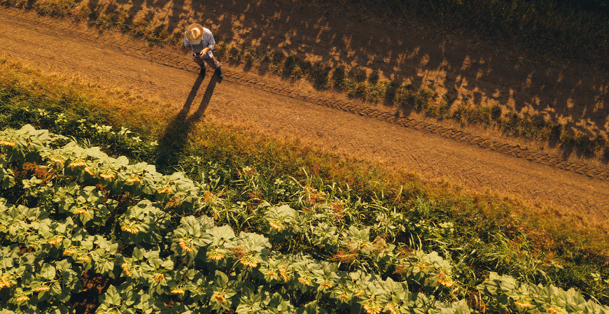 Confaz adia novamente emissão obrigatória da Nota Fiscal de Produtor Eletrônica