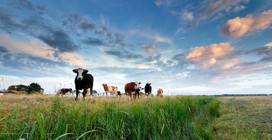 Ministro anuncia linha de crédito com juros subsidiados para produtores rurais
