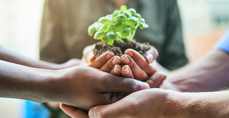 O papel do contador na ESG e na Contabilidade Sustentável