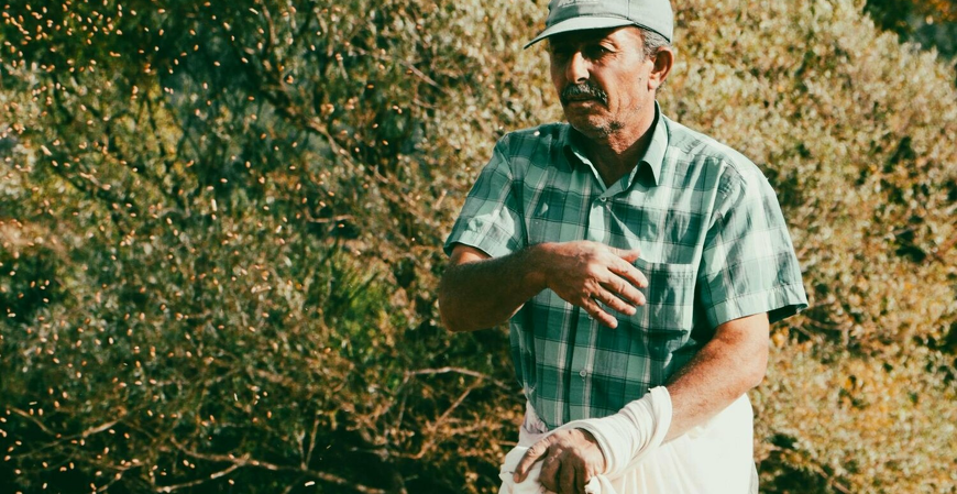 Entenda a finalidade do CNPJ, para o produtor rural pessoa física