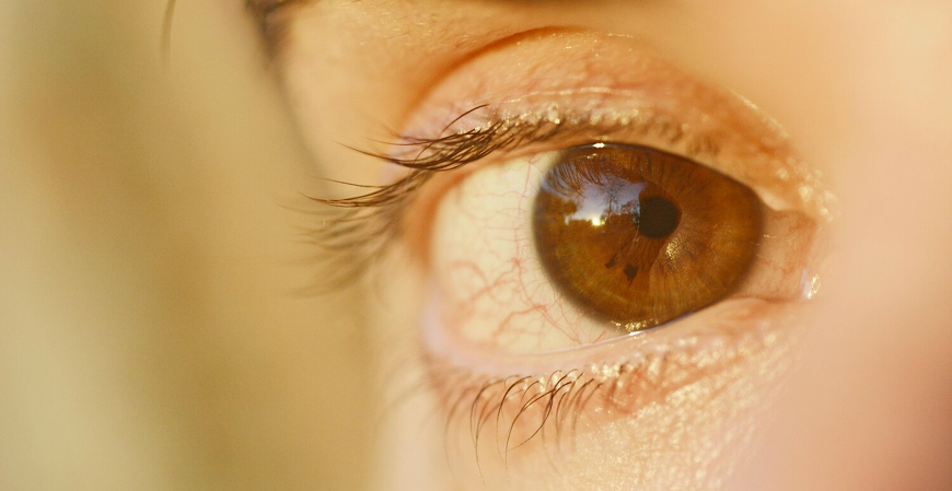 Especialista alerta para os riscos do uso da íris como credencial de segurança