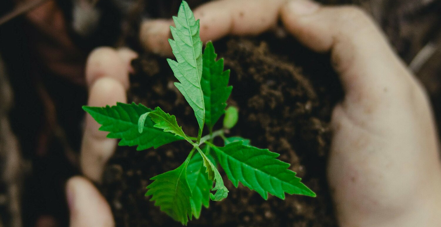 ESG: 76% das empresas brasileiras adotam práticas sustentáveis