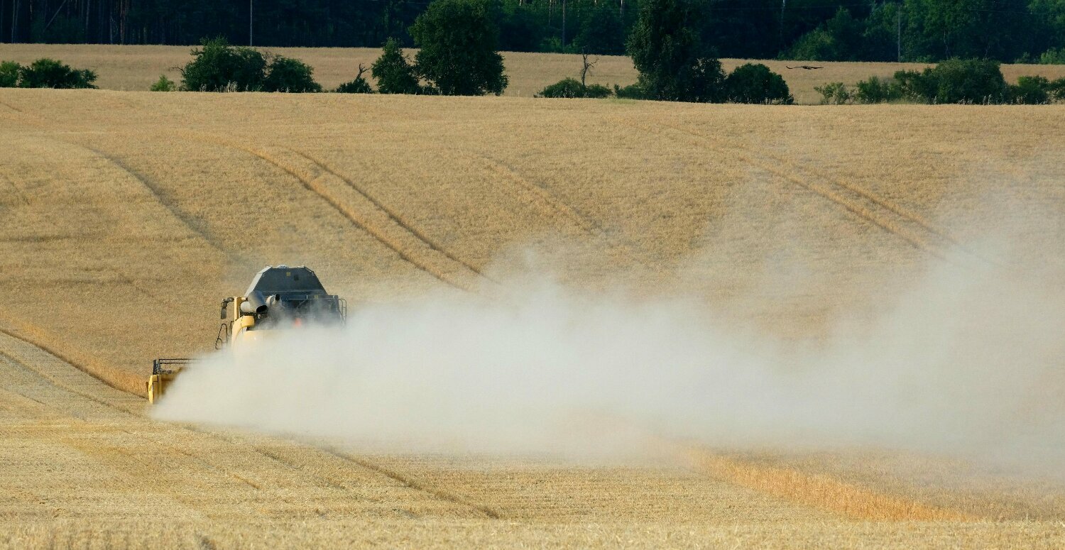 Reforma Tributária: agronegócio brasileiro ganha com redução de 60% em impostos
