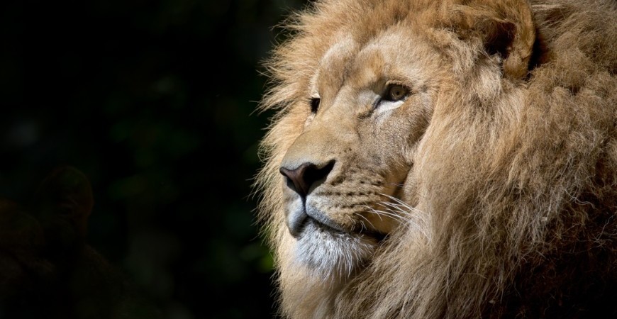 Pix: é preciso declarar todas as movimentações no Imposto de Renda? Confira cuidados para PF e PJ