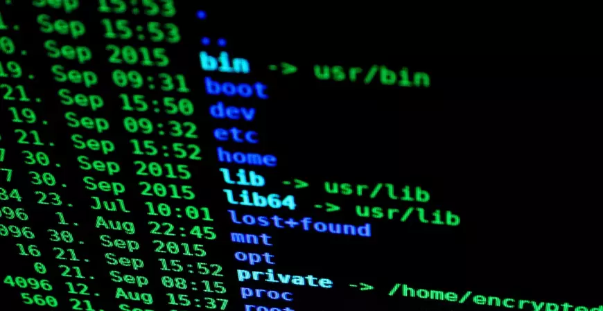 LGPD e a privacidade maquiada