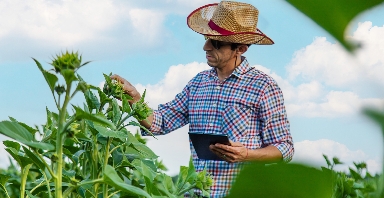 NFP-e: entenda o que é a Nota Fiscal Eletrônica do Produtor Rural