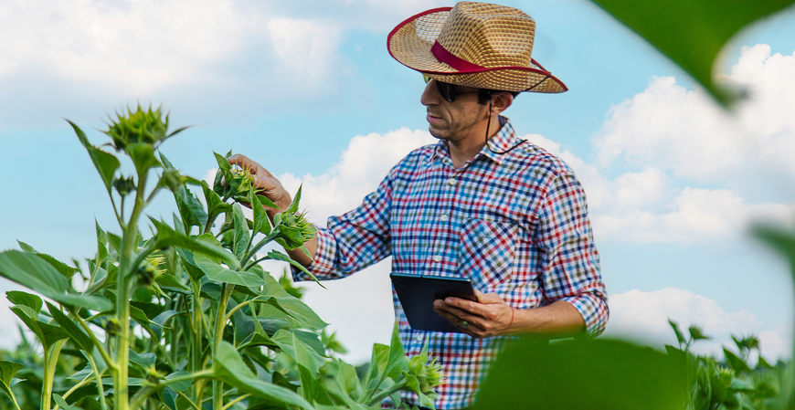 NFP-e: entenda o que é a Nota Fiscal Eletrônica do Produtor Rural