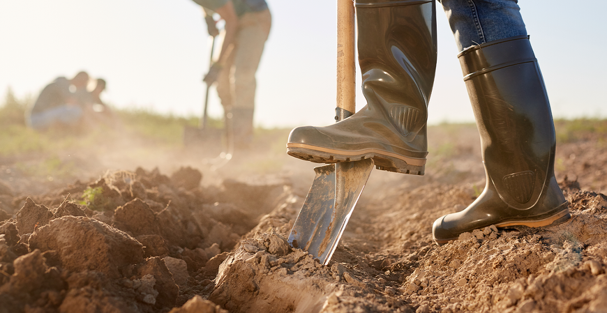 Nova versão do Programa Livro Caixa da Atividade Rural já está disponível para download