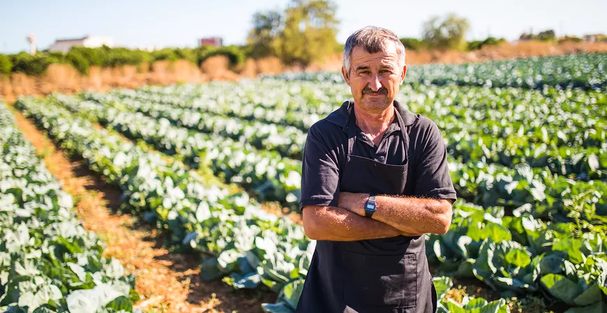Produtor rural pode passar a ser incluído como segurado especial na Previdência Social