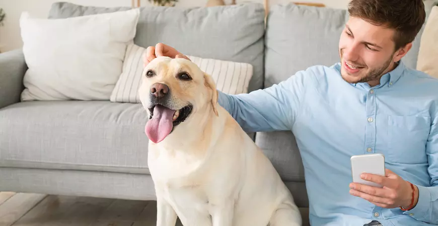 Imposto de Renda: projeto quer deduzir despesas de animais de estimação