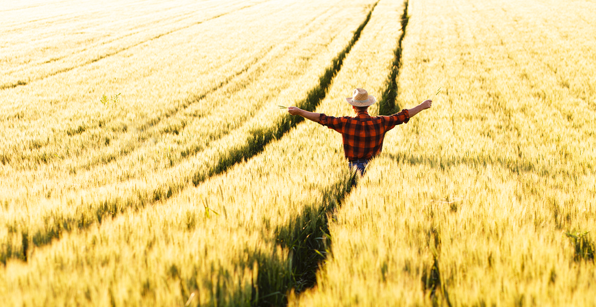 Atenção ao prazo final: DITR 2024 deve ser entregue até dia 30 deste mês