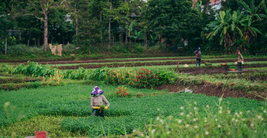 Receita Federal atualiza normas para fiscalização do ITR nos municípios
