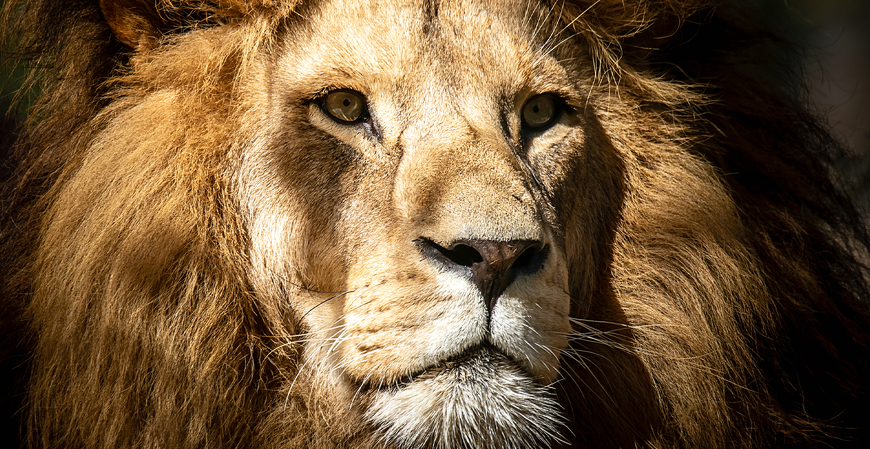 Receita Federal volta a receber declarações de Imposto de Renda nesta segunda-feira (3)