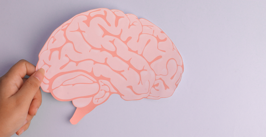 Saiba como seu cérebro contábil pode virar imortal Saiba como seu cérebro contábil pode virar imortal