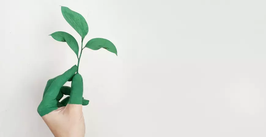 Transformar o ambiente de trabalho em um lugar social e sustentável é um direito fundamental