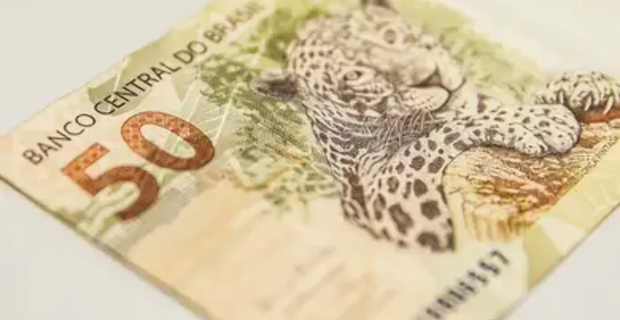 Última remuneração informada: o que é e como declarar corretamente